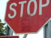 Bob on a stop sign at N. Hamilton and Washtenaw