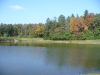 Pond and woods on the campus of Washtenaw Community College