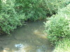College Creek, where it is entunneled near Lake Laverne