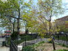 Montefiore Park, 137th and Broadway