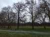 The grounds of the Greenwich Observatory