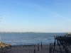 Eastchester Bay from the tip of City Island. In the distance, the US Merchant Marine Academy